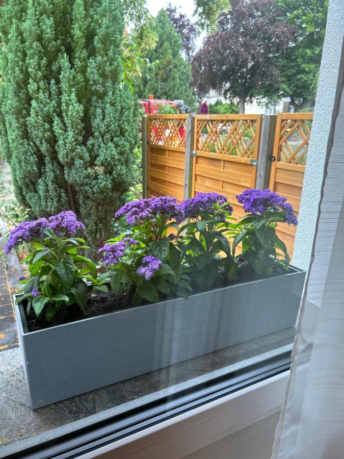 Fewo By Hd Mit Parkplatz, Wallbox, Wintergarten Бад Залцуфлен Екстериор снимка